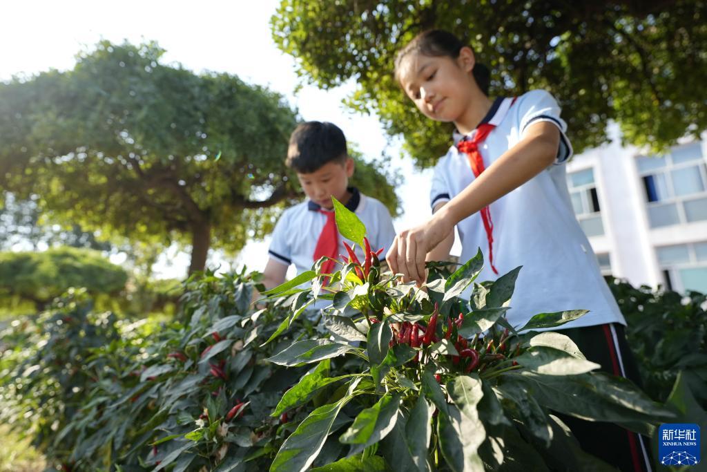 舞帝娱乐在线